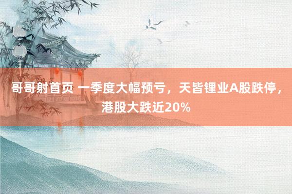 哥哥射首页 一季度大幅预亏，天皆锂业A股跌停，港股大跌近20%