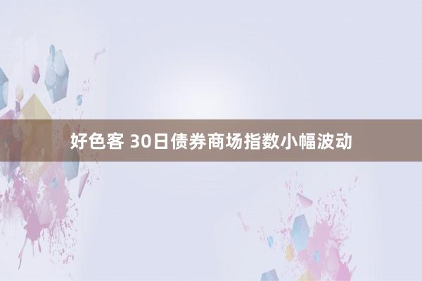 好色客 30日债券商场指数小幅波动