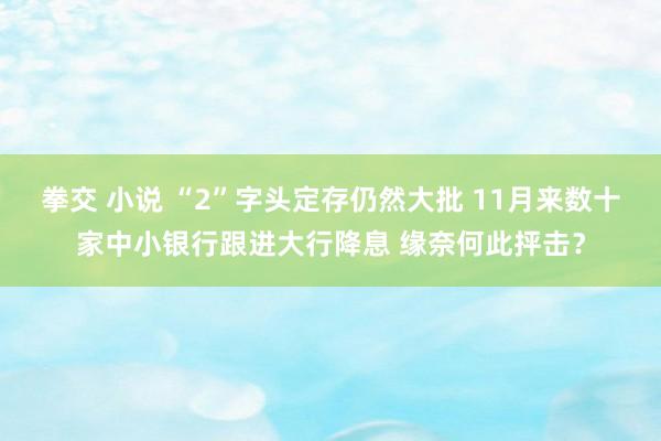 拳交 小说 “2”字头定存仍然大批 11月来数十家中小银行跟进大行降息 缘奈何此抨击？