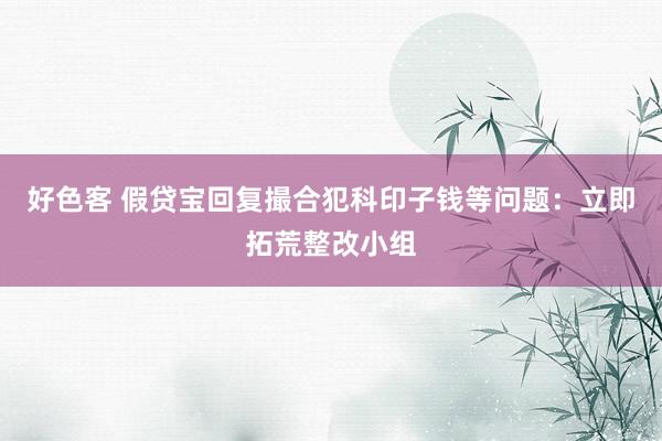 好色客 假贷宝回复撮合犯科印子钱等问题：立即拓荒整改小组