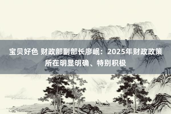 宝贝好色 财政部副部长廖岷：2025年财政政策所在明显明确、特别积极