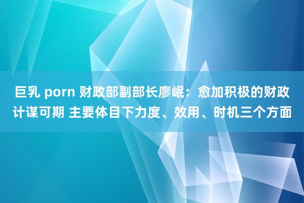 巨乳 porn 财政部副部长廖岷：愈加积极的财政计谋可期 主要体目下力度、效用、时机三个方面