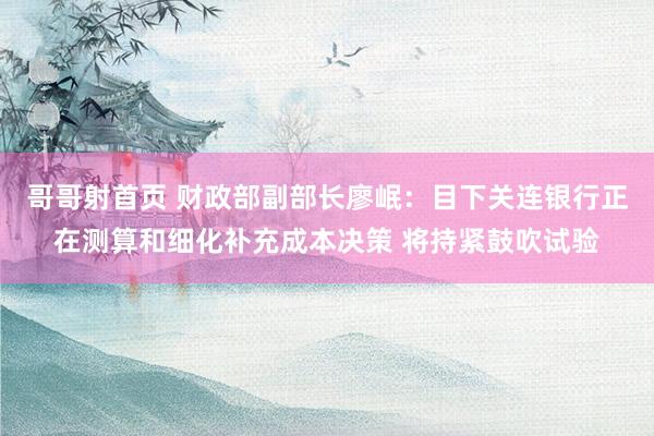 哥哥射首页 财政部副部长廖岷：目下关连银行正在测算和细化补充成本决策 将持紧鼓吹试验