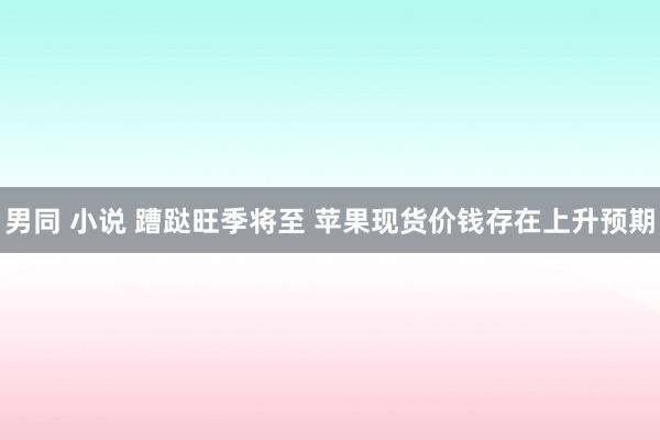 男同 小说 蹧跶旺季将至 苹果现货价钱存在上升预期